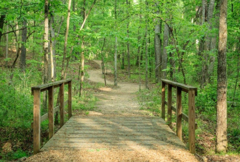 Bonny Oaks Arboretum, United States